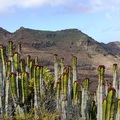 KOLOMBUSZ NYOMÁBAN, LA GOMERA 1. NAP