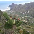 KOLOMBUSZ NYOMÁBAN, LA GOMERA 3. NAP