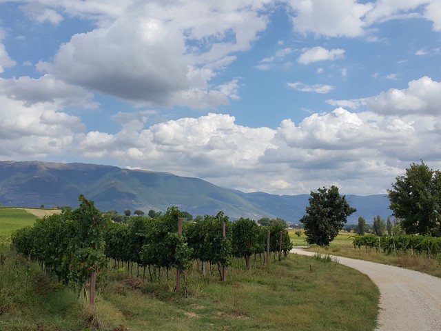 Assisi-Róma zarándokút 3.Nap (via Francigena di San Francesco)