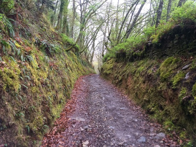 El Camino - Camino de Santiago (Szent Jakab útja) 28.Nap