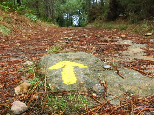 El Camino - Camino de Santiago (Szent Jakab útja) 31.Nap