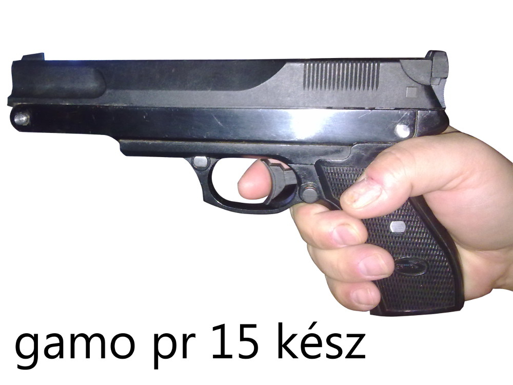 gamopr15.jpg