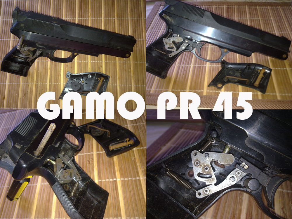 gamopr45.jpg