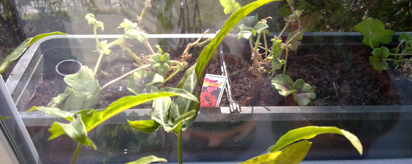 201304202577.jpg