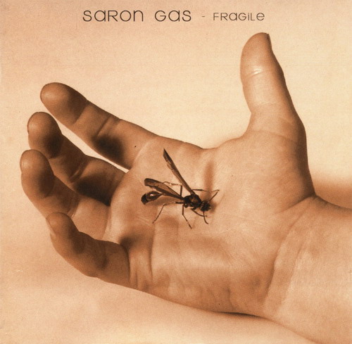 seether saron gas fragile.jpg