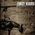 Corey Harris - Downhome Sophisticate (2002)