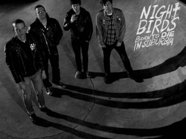 Night Birds - Born To Die In Suburbia (2013)