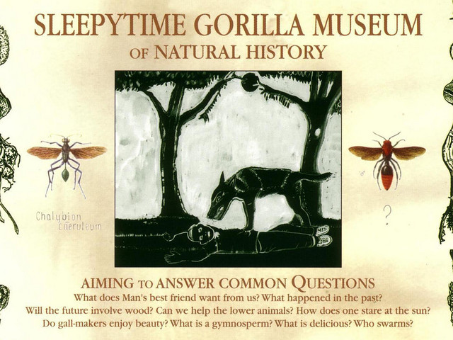 Sleepytime Gorilla Museum Of Natural History (2004)