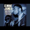 Elmore James: Shake Your Moneymaker (1961)