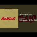 Bob Marley: Waiting in Vain (1977)