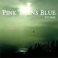 Pink Turns Blue: Storm (2010)