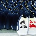 Anarcho-szindikalista pingvinkommuna