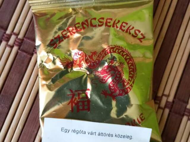 Nem véletlen, hogy nincs véletlen