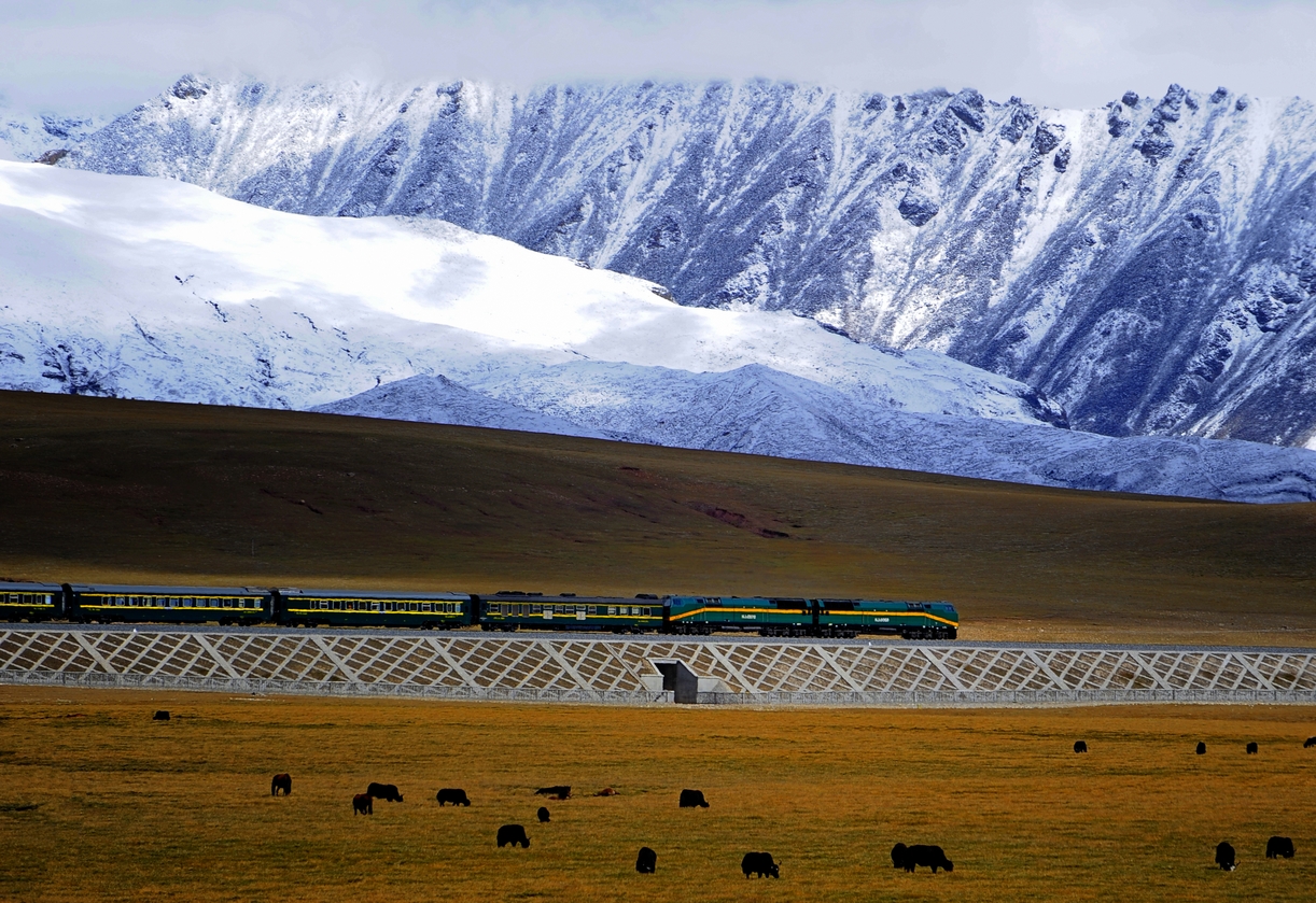 Qingzang_railway_Train_01.jpg