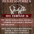 Falusi disznóvágás Pénzesgyőrben - 2022.02.26., szombat