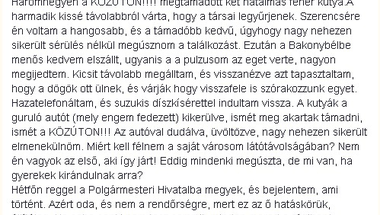 Kutyák a Háromhegyen - esetek, kérdések, válaszok - és máris frissítés(ek) - Kutya plusz - helyesbítve