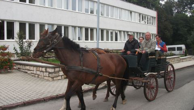 Kis csodákat teremtettek