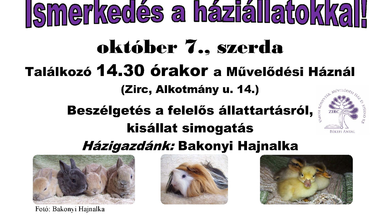 Ismerkedés a háziállatokkal!