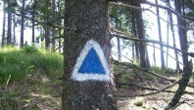 A Barót-Zsögödfürdő kék háromszög turistaút felújítása Erdővidéken* - frissítés