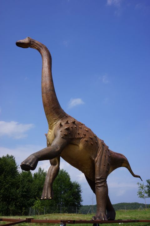 Magyarosaurus_6000x4000.JPG