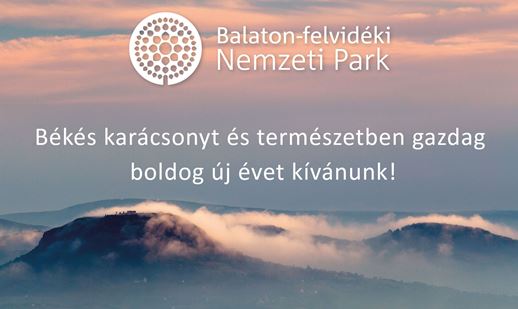 bfnpi-karacsony-2016.jpg