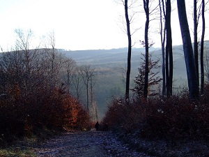 2012_1231_Szilveszter_0029_1.JPG