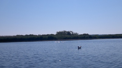 Tisza-tó_2 (10).jpg
