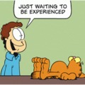 Garfield 22