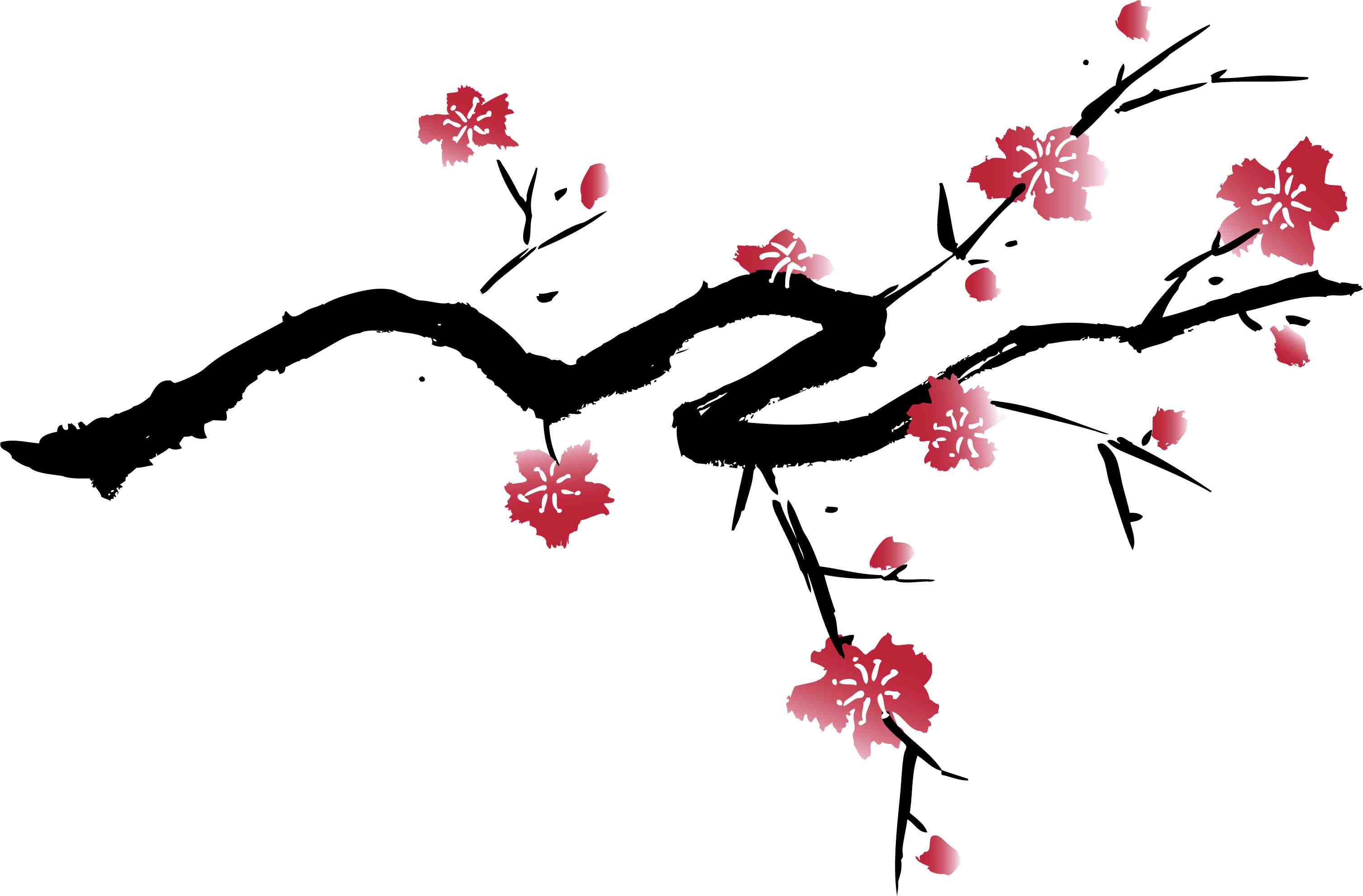 cherryblossom.jpg