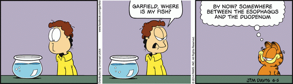 fish_1.gif