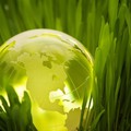 A fenntartható fejlődésről