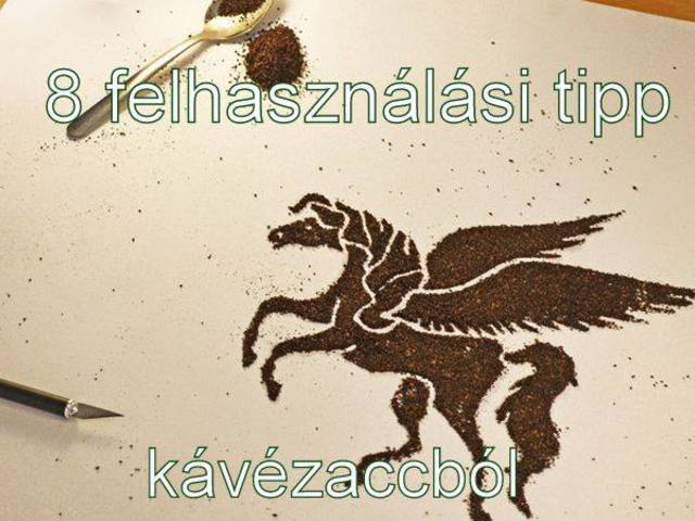 8 tipp, hogy mire használhatod a kávézaccot!