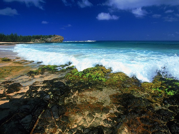 HawaiShipwrecks-Beach-Kauai-Hawaii.jpg