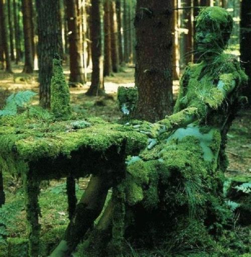 Moss_ulovalaki.jpg