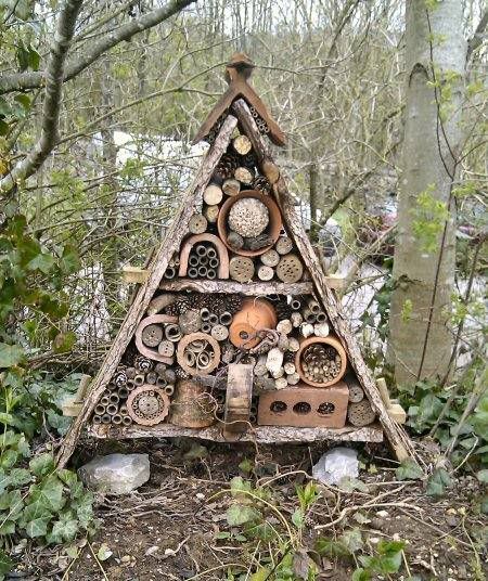 bughotel1.jpg