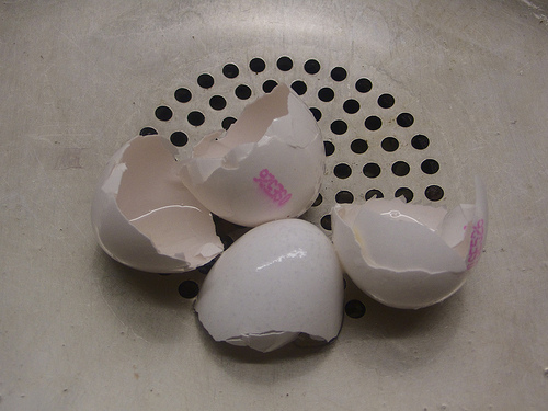 eggshell-5-recycle.jpg