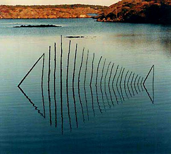 landart_fish.jpg