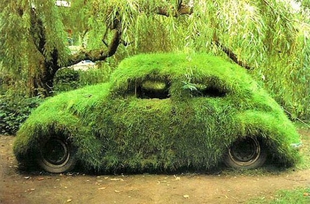 moss car.jpg