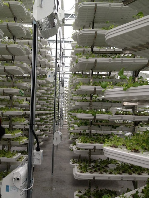 verticalfarm_vancouver_1.jpg