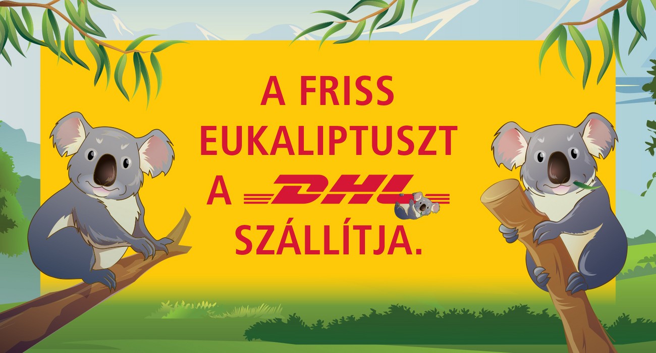 2_dhl_koalas_tabla.jpg