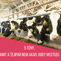 9 tény, amit a tejipar nem akar, hogy megtudj