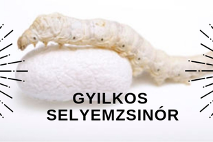 A gyilkos selyemzsinór