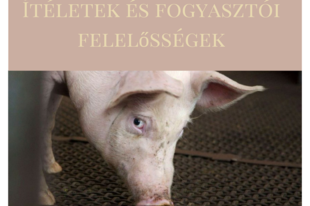 Ítéletek és a fogyasztói felelősségek