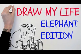 Karen az elefánt "Draw my life" videója