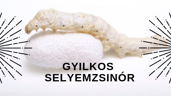 gyilkos_selyemzsinor.jpg