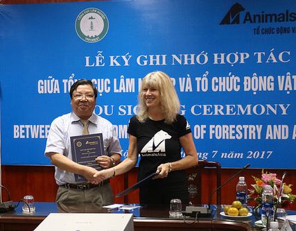 A  The Memorandum of Understanding (MOU) aláírása a medve farmok felszámolásáról. Jill Robinson, az Animal Asia alapítója és<br />Cao Chi Cong, a Vietnámi Erdészeti Kabinet megbízott igazgatója szignálja a dokumentumot.