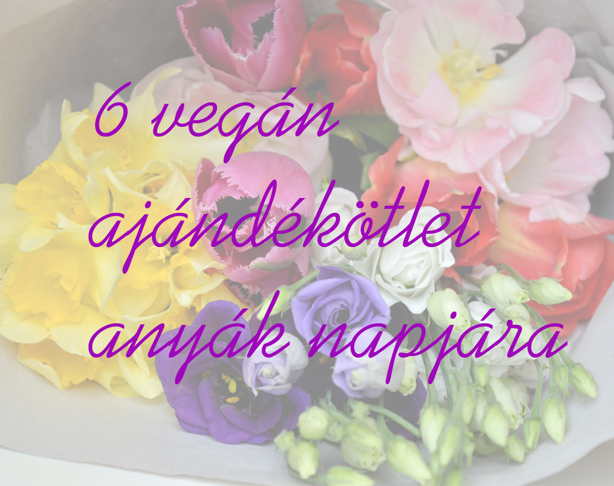 vegan_ajandekotlet_anyak_napjara_zoldella_vegan_eltmod_blog_1.jpg