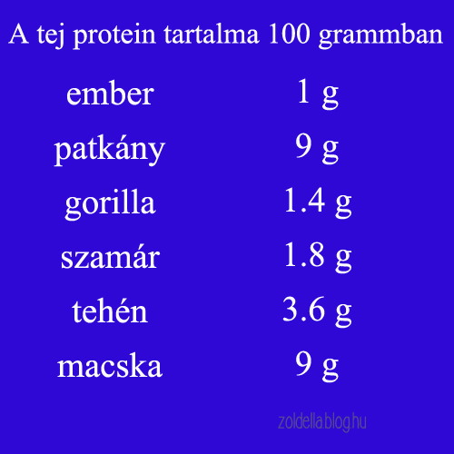 zoldella_vegan_blog_what_the_health_filmajanlo_tej_protein2.jpg