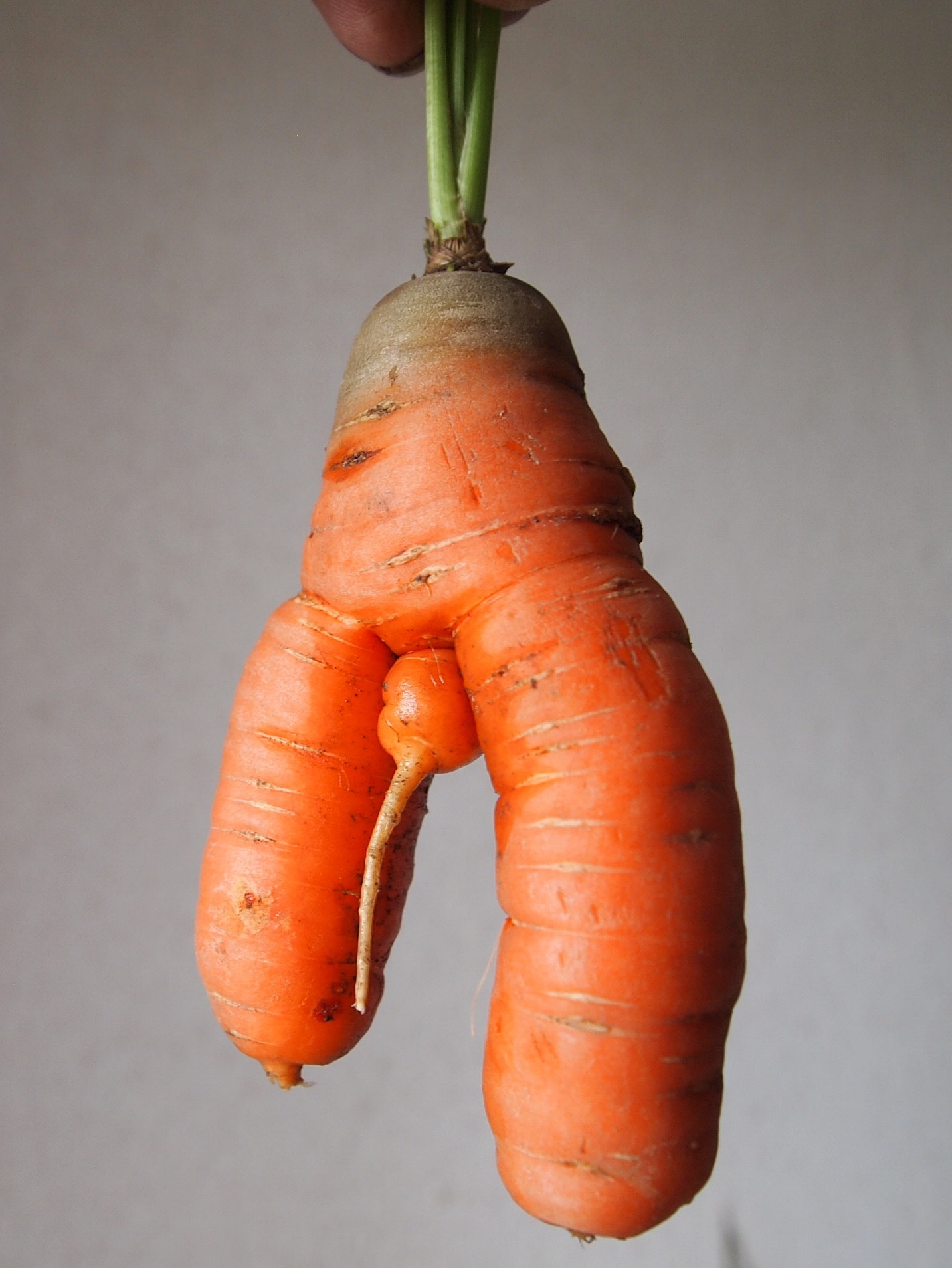 p9140746-crop.JPG