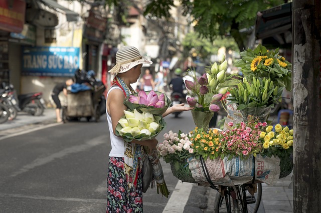 hanoi-4108954_640.jpg